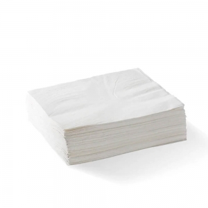 2ply Luncheon Napkin 1/4 Fold White (2000/ctn) (125/slv) (C-NL0120)